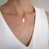 collier cactus